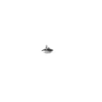 Pilot photo