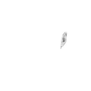 Pilot photo