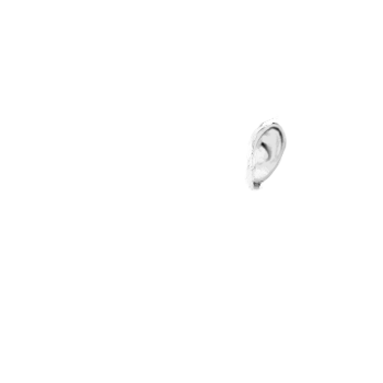 Pilot photo