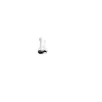 Pilot photo